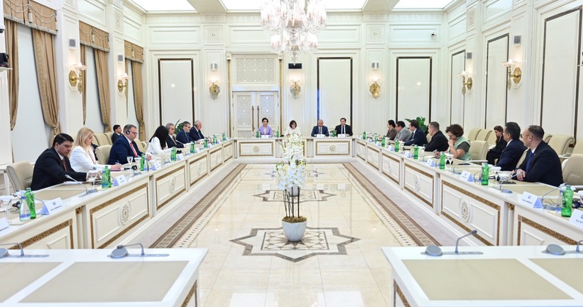 Azerbaijani speaker meets with participants of International Symposium of Ombudsmen