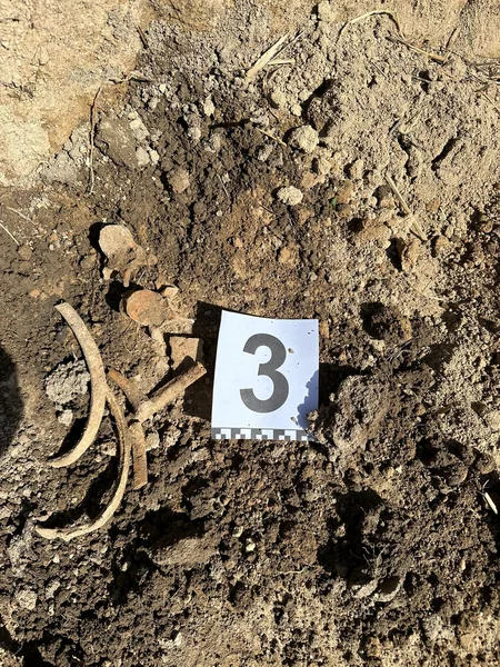 Human remains found in Khojaly