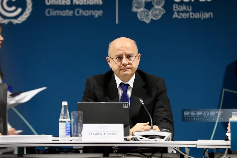 Nazir: “Yaşıl enerji”yə keçid üçün enerji səmərəliliyinə investisiyaları 7 dəfə artırmaq lazımdır”