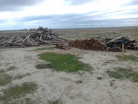 Xızıda 224 ədəd partlamamış hərbi sursat aşkar edilib - FOTO