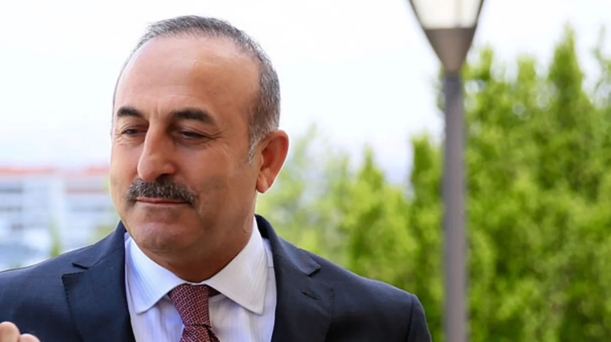 Turkish FM: 'Azerbaijan took serious steps against FETÖ'