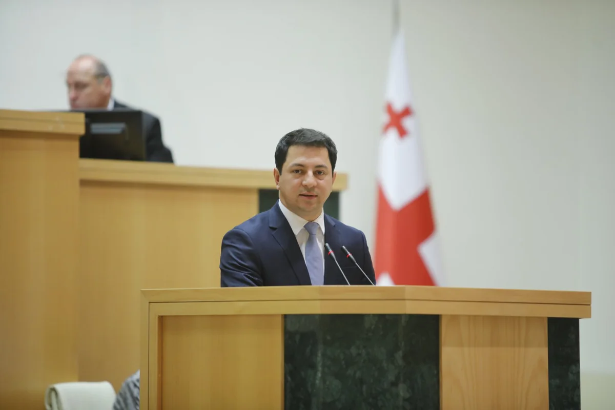 Gürcüstan parlamentinə sədr seçilib
