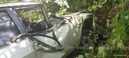 Şəkidə avtomobil ağaca çırpılıb, xəsarət alanlar var