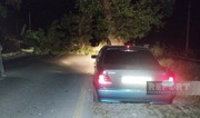 Oğuz rayonunda külək irigövdəli ağacı avtomobil yoluna aşırıb, yol bağlanıb