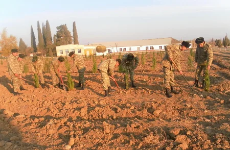 Azərbaycan Ordusunda ağacəkmə aksiyası davam edir