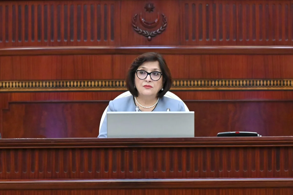Speaker: Strong Azerbaijan reviving its liberated territories today