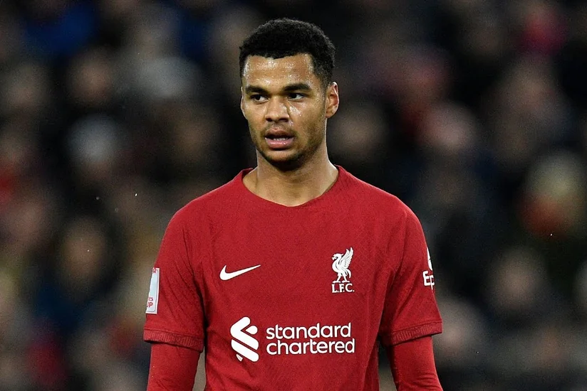 Cody Gakpo returns to training ahead of Liverpool’s Champions League match