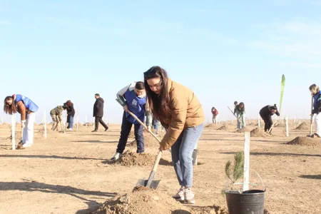 Müşfiqabad qəsəbəsində növbəti ağacəkmə aksiyası keçirilib
