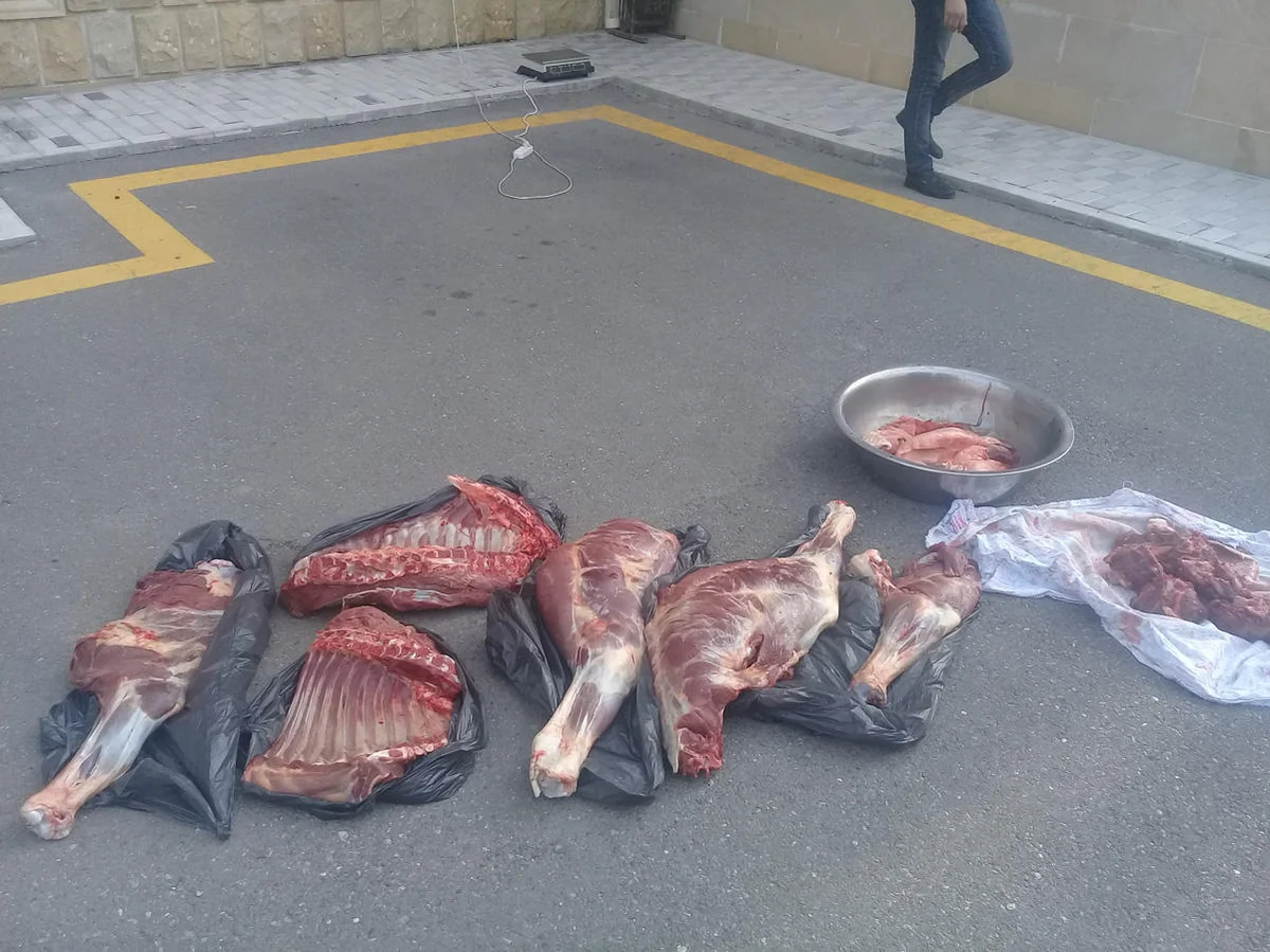 Xaçmazda at əti aşkar edilərək götürülüb