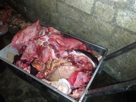 Bakı şəhərində və Yevlax, Bərdə, Ağcabədi rayonlarında qida təhlükəsizliyi ilə əlaqədar reydlər keçirilib