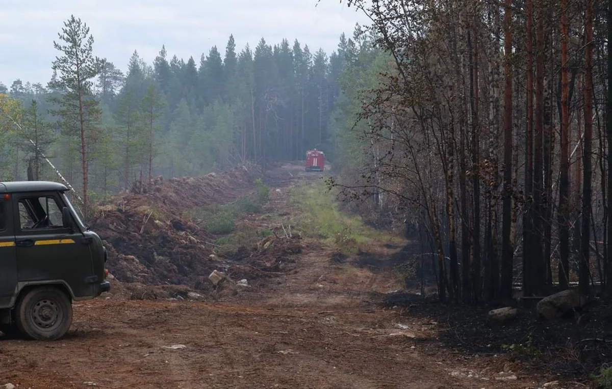 В Карелии ликвидировали все лесные пожары