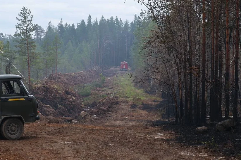 В Карелии ликвидировали все лесные пожары