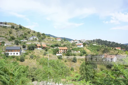 Laçına həyat qayıdır - REPORTAJ