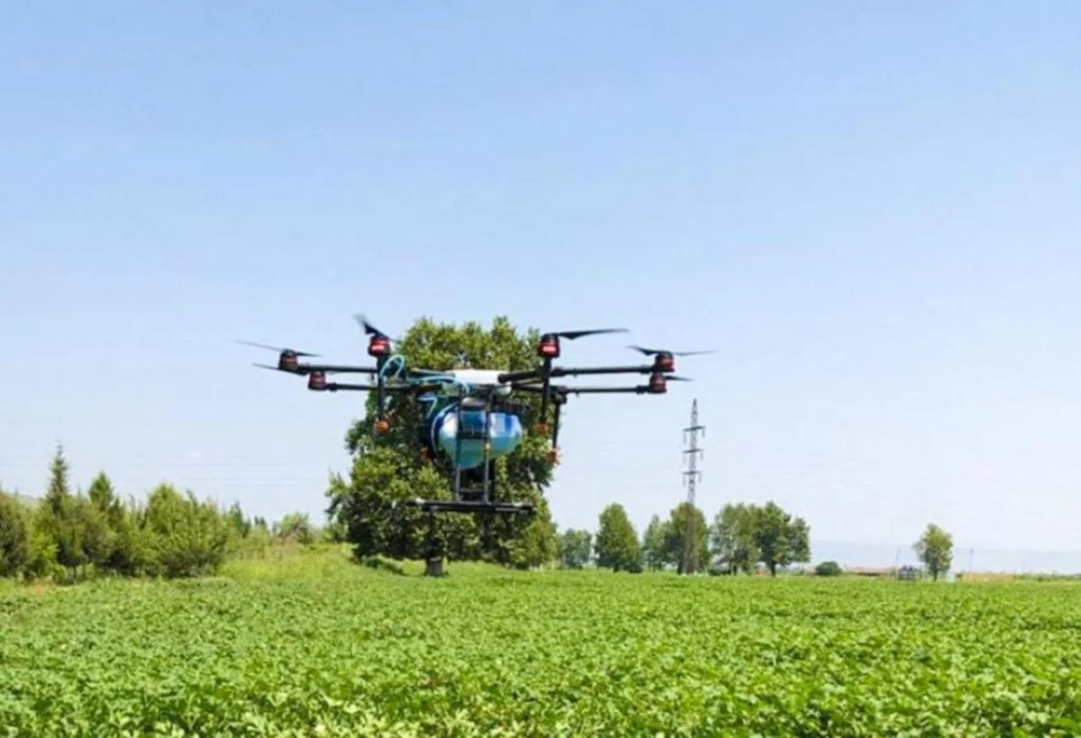 Ucarda zərərvericilərə qarşı kimyəvi mübarizə dronla aparılır
