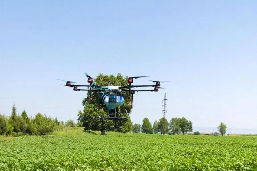 Ucarda zərərvericilərə qarşı kimyəvi mübarizə dronla aparılır