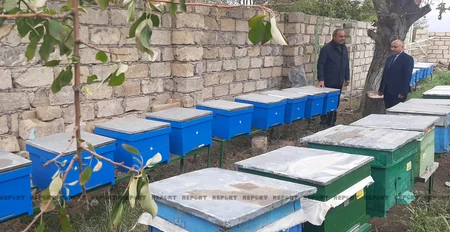 Qazi və şəhid ailələri üçün yaradılan təsərrüfatlara media-tur təşkil edilib