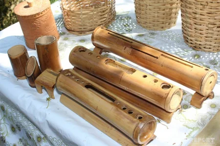 Çörəyi bambukdan çıxır - VİDEOREPORTAJ