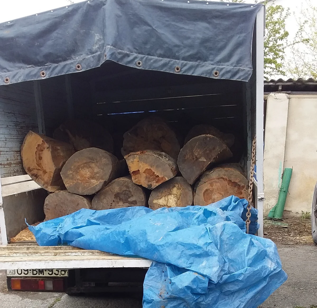 ETSN qanunsuz yolla əldə edilmiş meşə materialı aşkarlayıb