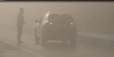 Qəbələyə istirahətə gedənlər cərimələnib