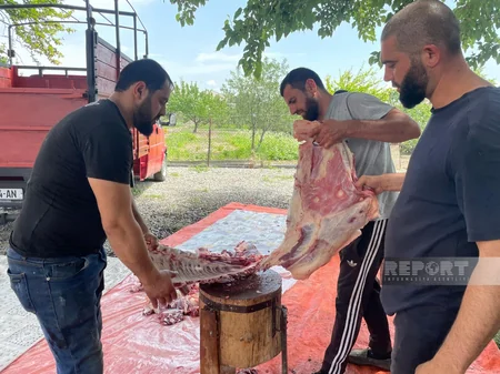 QMİ Qurban bayramı münasibətilə Gürcüstanda xeyriyyə aksiyası keçirib