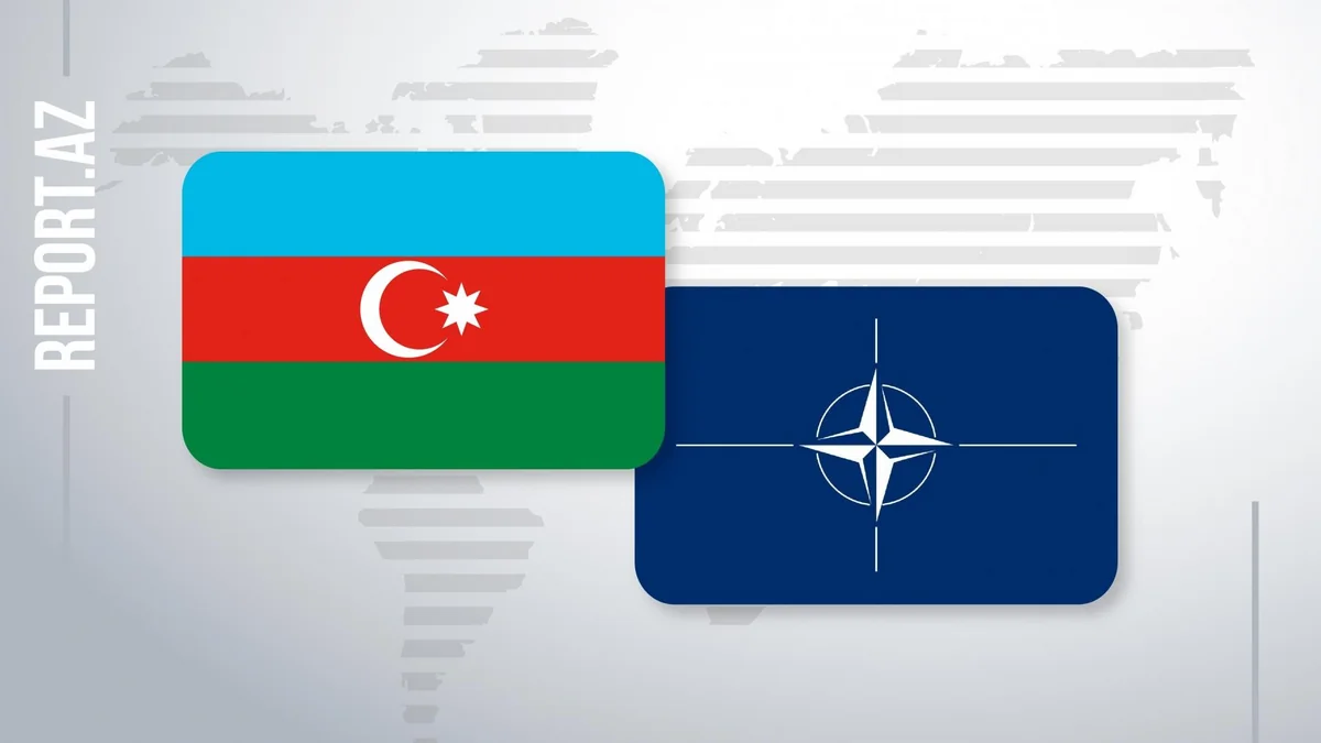 NATO Azərbaycan səfirliyinə hücumu pisləyib