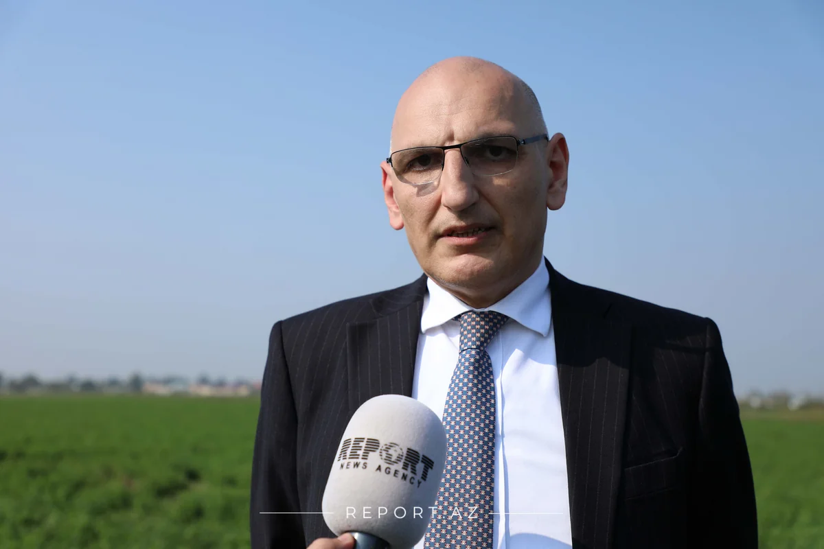 Elçin Əmirbəyov: Ermənistan sülh prosesinin bərpasında maraqlı deyil