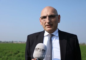 Эльчин Амирбеков: Армения не хочет уходить с оккупированных ею территорий 