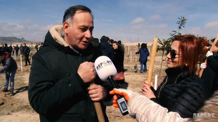 Bakıda media nümayəndələrinin iştirakı ilə ağacəkmə aksiyası keçirilib - VİDEO