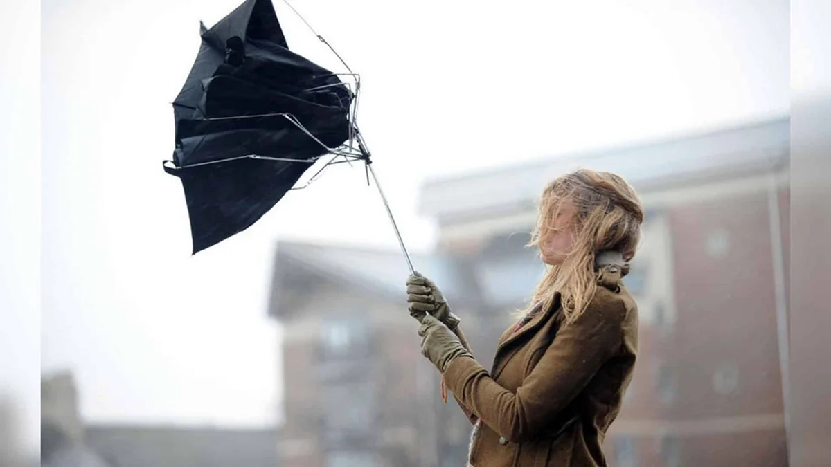 Küləkli hava gecə saatlarınadək davam edəcək - FAKTİKİ HAVA