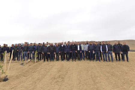 Prokurorluq orqanları əməkdaşları növbəti ağacəkmə aksiyası keçirib