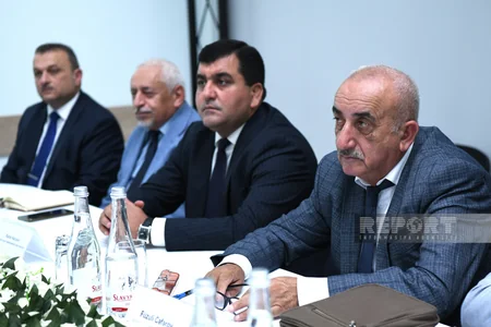 Qurumuş və qəzalı ağacların götürülməsi ilə bağlı ictimai dinləmə keçirilib