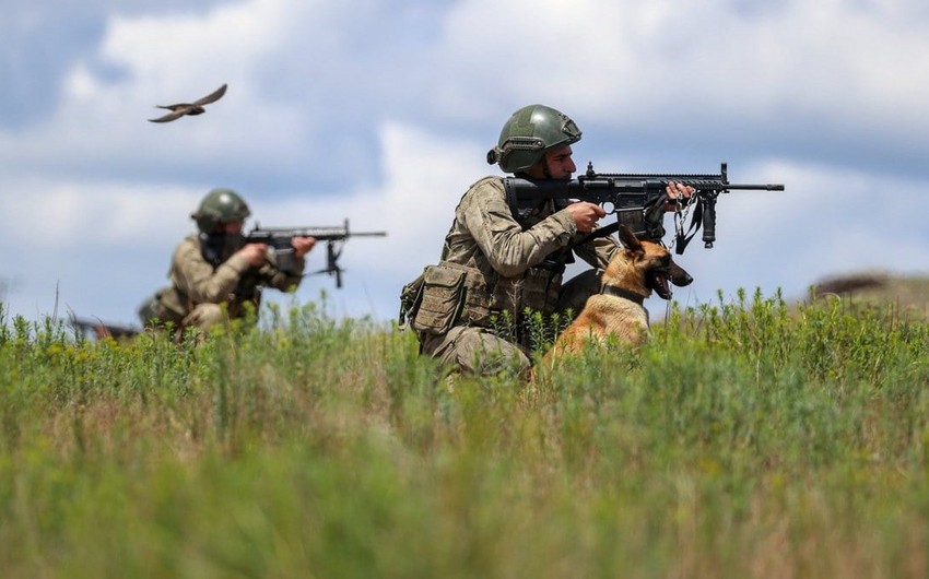 Türkiyə Ordusu PKK-nın doqquz terrorçusunu öldürüb