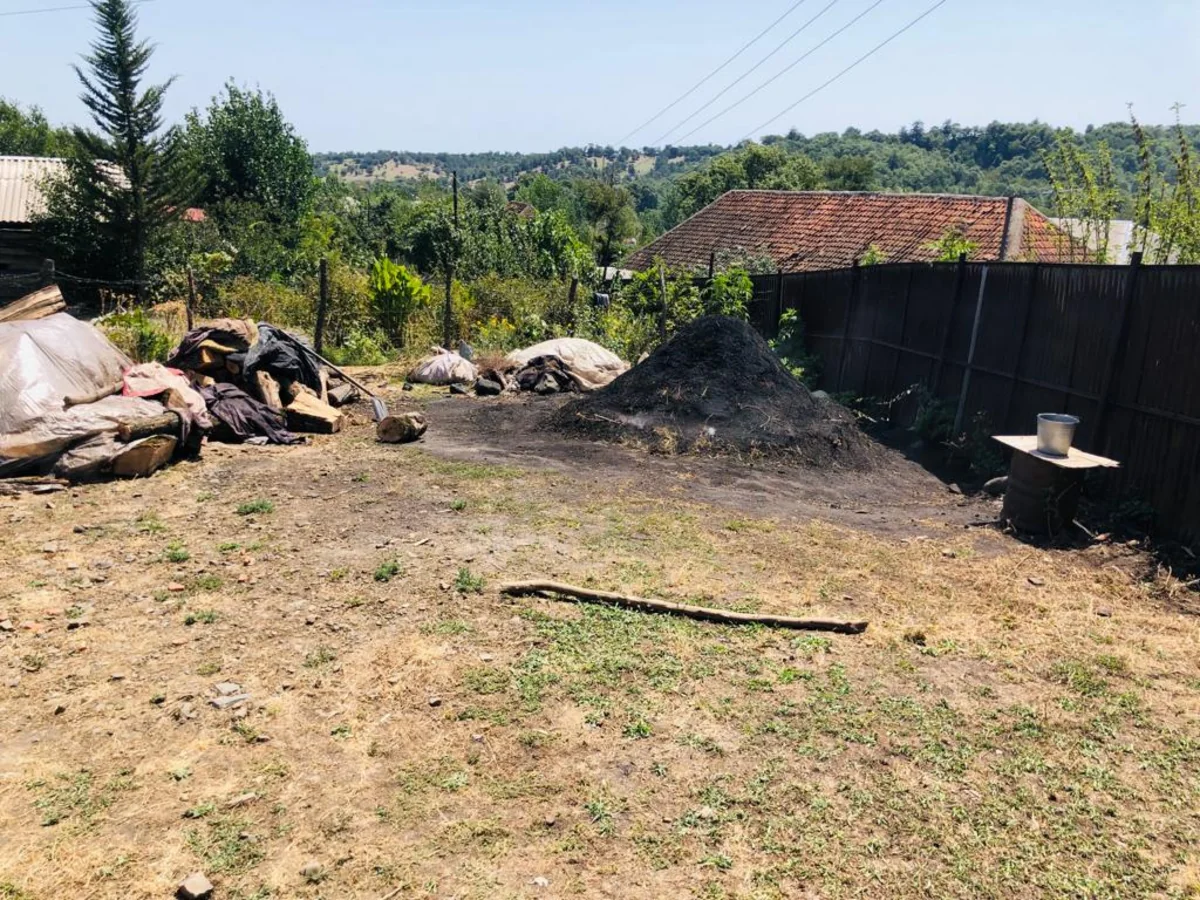 Masallıda qanunsuz kömür quyuları aşkar edilib
