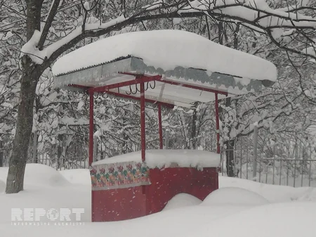 Qaxda bəzi yerlərdə qarın qalınlığı 90 sm-ə çatıb - FOTO