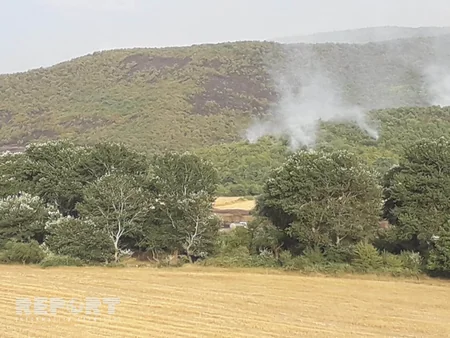 Qubada dağlıq ərazidə baş verən yanğın lokallaşdırılıb - YENİLƏNİB - FOTO