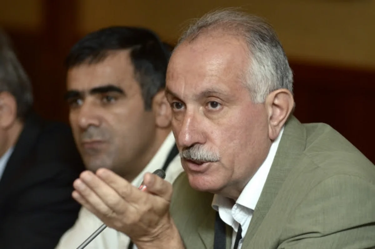 ATƏT Mehman Əliyevin azadlığa buraxılmasını alqışlayıb