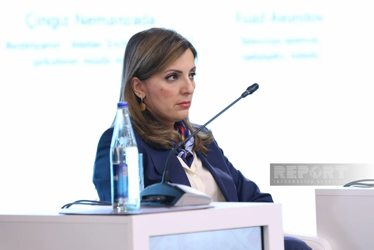 Number of monuments monitored in liberated areas announced