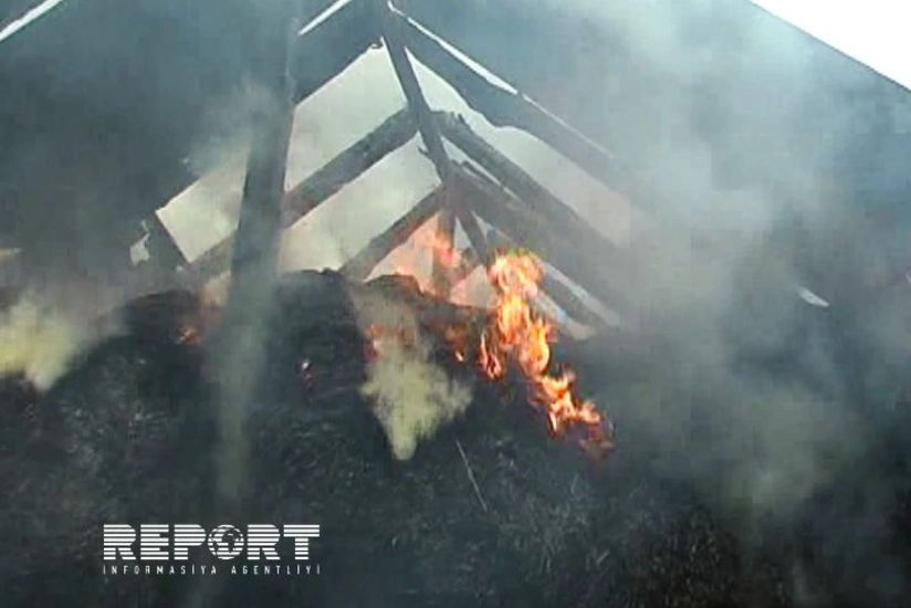 Qax rayonuna ildırım düşməsi yanğına səbəb olub - FOTO - VİDEO