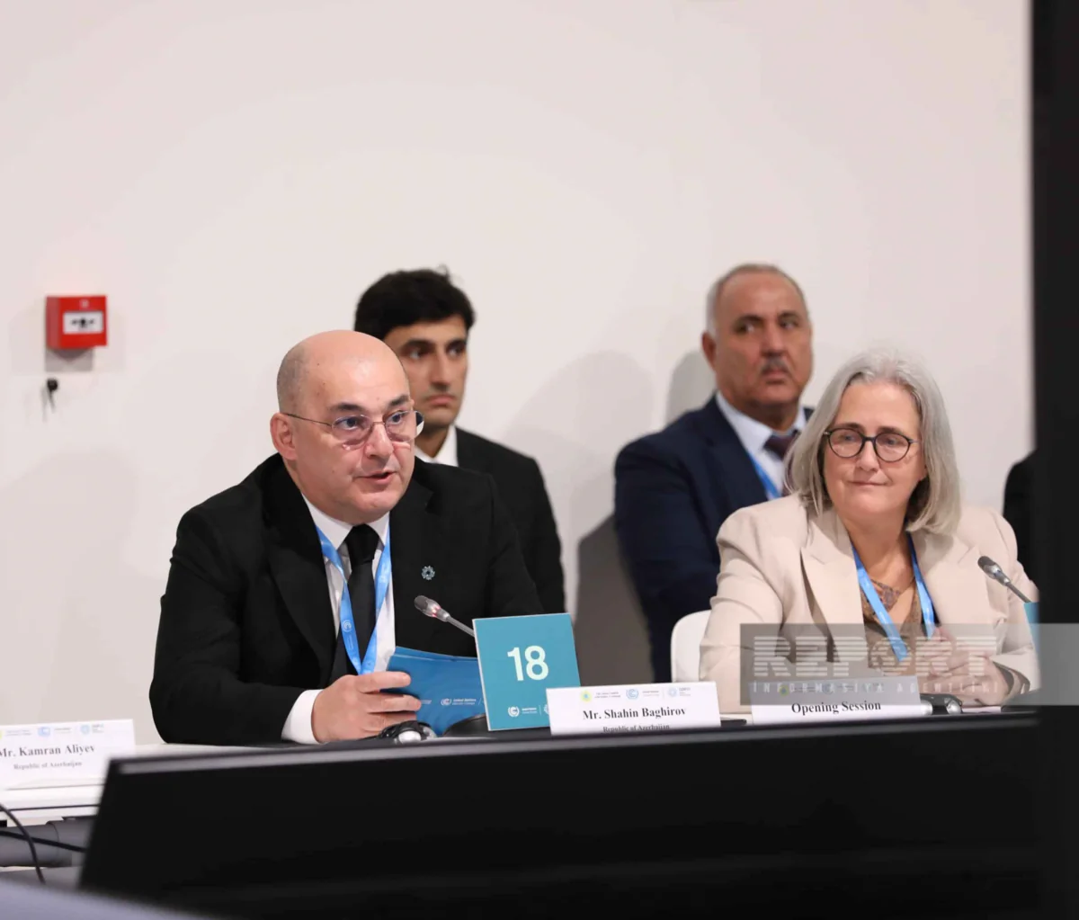 Chairman of State Customs Committee: Digitalization first requirement of green customs initiative