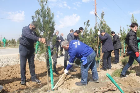 Balaxanı tullantı poliqonunda 1000 ədəd ağac əkilib - FOTO