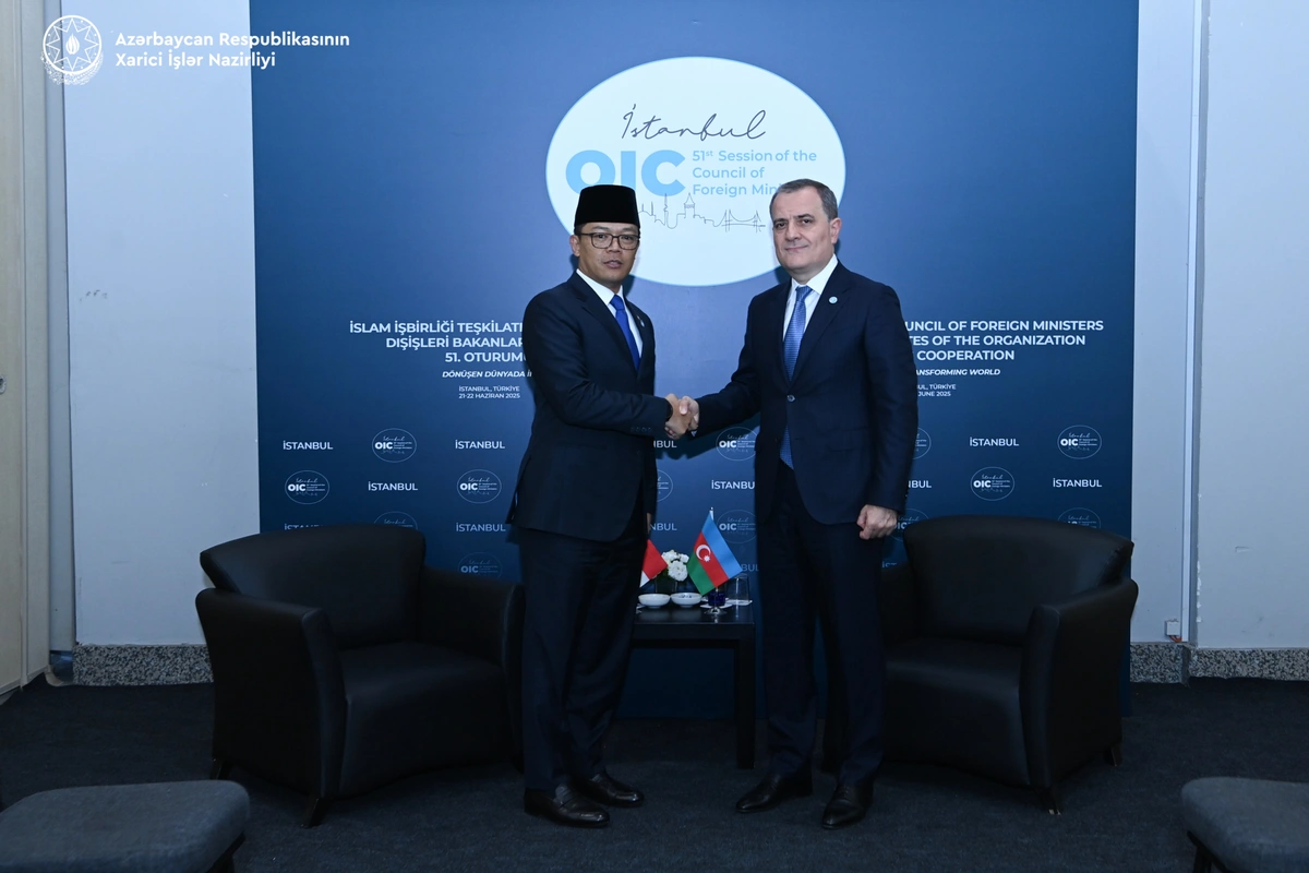 Azerbaijan's FM informs Indonesian minister about difficulties in normalization process with Yerevan