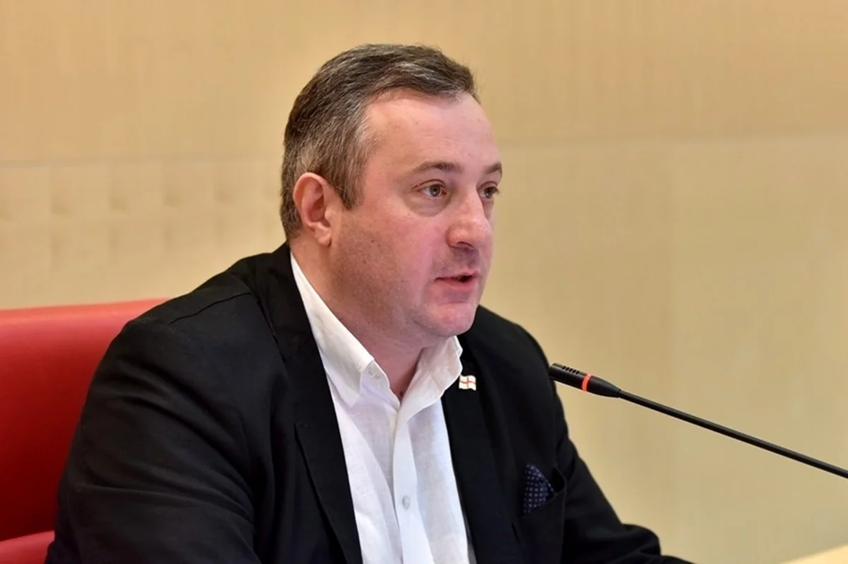 Gürcüstanda seçki sistemi ilə bağlı referendum keçirilməsi təklif olunub
