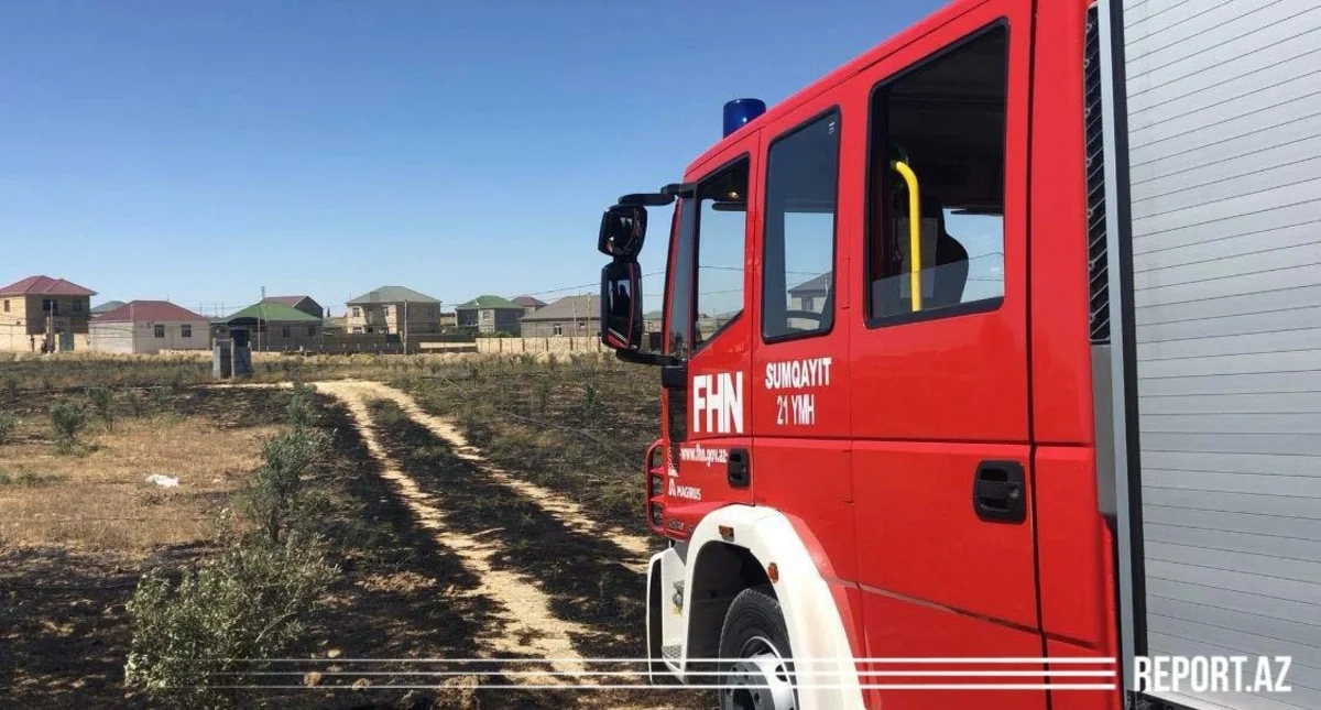 Abşeronda zeytunluq yanıb, zəhərlənən var