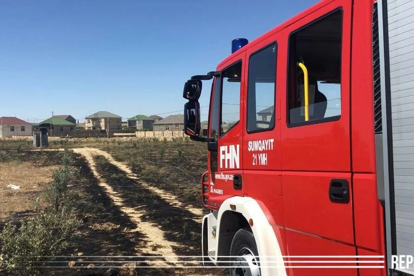Abşeronda zeytunluq yanıb, zəhərlənən var
