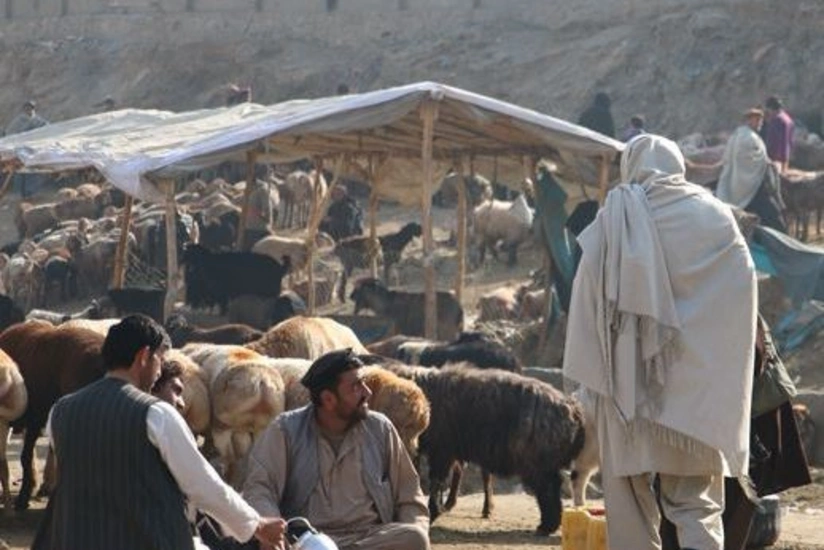 США и талибы подпишут соглашение о выводе войск из Афганистана