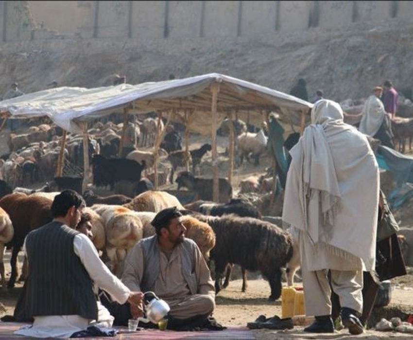 Bu gün ABŞ və “taliblər” sülh sazişi imzalayacaq