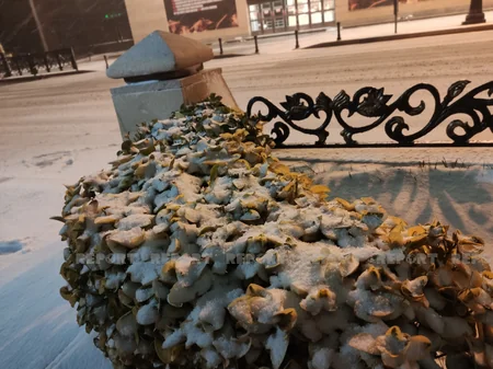 Bakıda qışın ən soyuq gecəsi - YENİLƏNİB