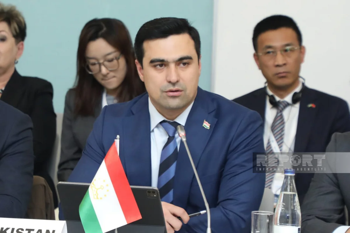 Таджикистан призвал страны SPECA уделять больше внимания зеленой экономике