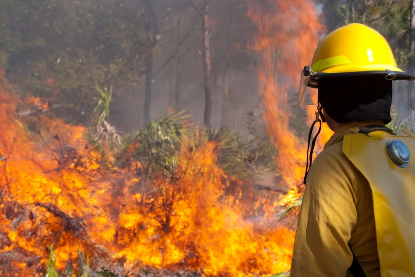 California wildfires: At least 5 died