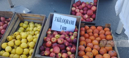 Qubada bayram yarmarkası təşkil olunub